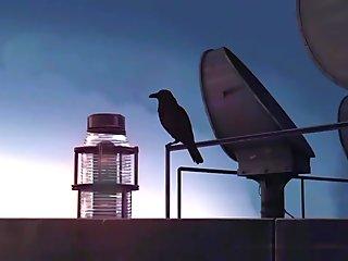 Reiya tv 684